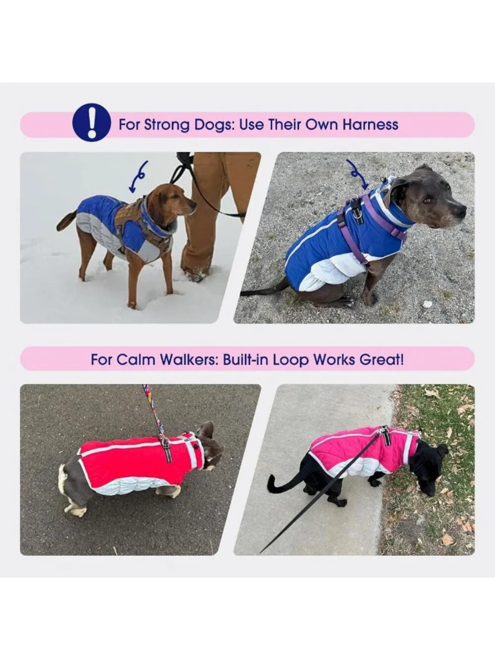 Cozy Fleece Dog Winter Jacket for Small Dogs with Harness - Warm Pet Coat